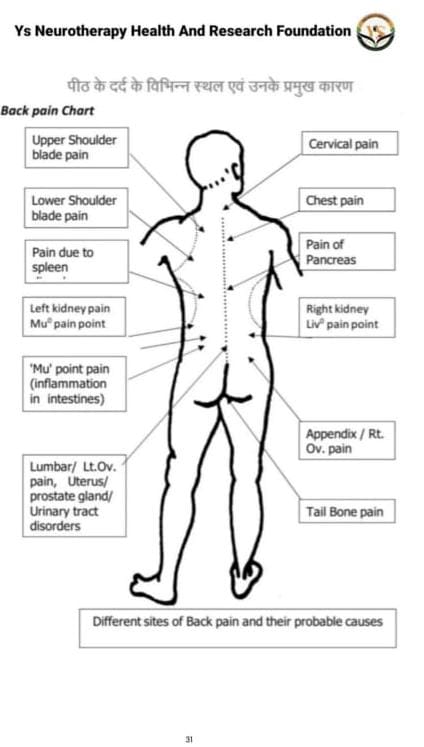 Back pain chart