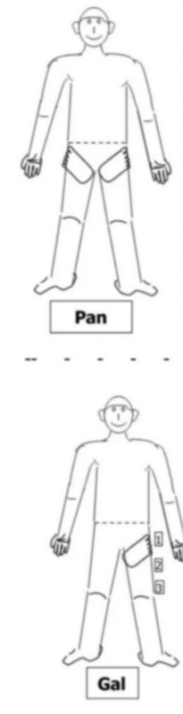 पीठ के बल लिटा कर देने वाले उपचार