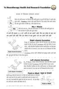 B-12 And Niacin point..Vitamin Formation