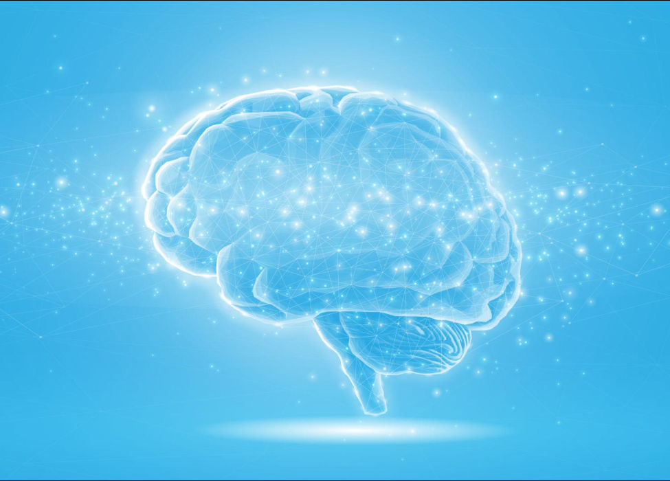 Neurotherapy Formula