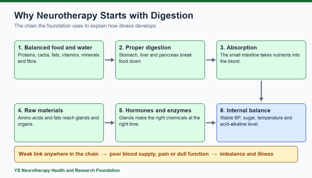 Why Neurotherapy Starts with Digestion: Root-Cause Guide