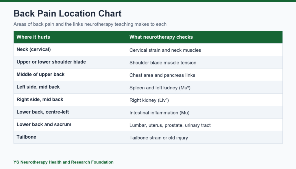 Back Pain Location Chart: What Neurotherapy Looks For