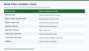 Back Pain Location Chart: What Neurotherapy Looks For